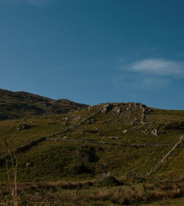 ROSY'S BEST WALKING TRAILS